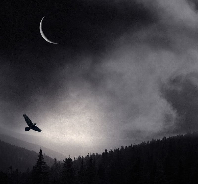Storm Shadow ракета. Dark Shadow ракета. Night Crows. К Night Crows готов.