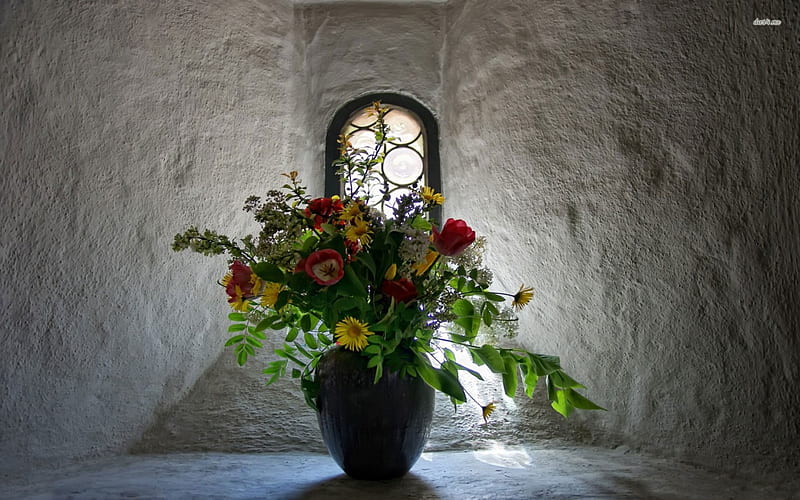 Vase in the Mid-day Light, Tulips, Flowers, Light, Vase, HD wallpaper