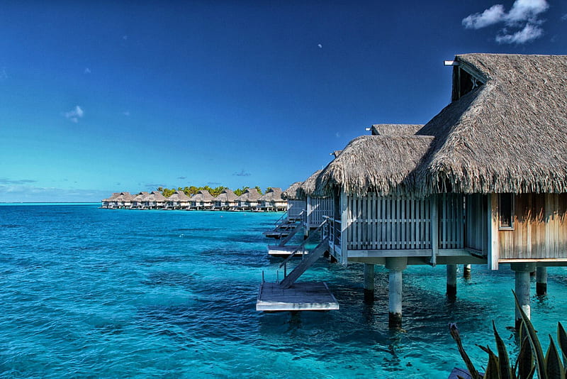 Moorea Water bungalows, moorea, polynesia, resort, sea, atoll, beach, lagoon, bungalows, south pacific, luxury, blue, exotic, ocean, water, paradise, island, tahiti, tropical, villas, HD wallpaper