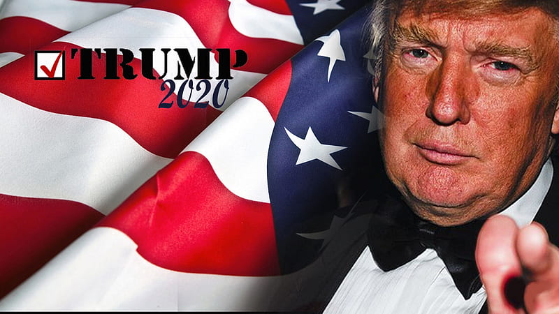 Vote dom!, dom, election, presidents, Trump, America, HD wallpaper