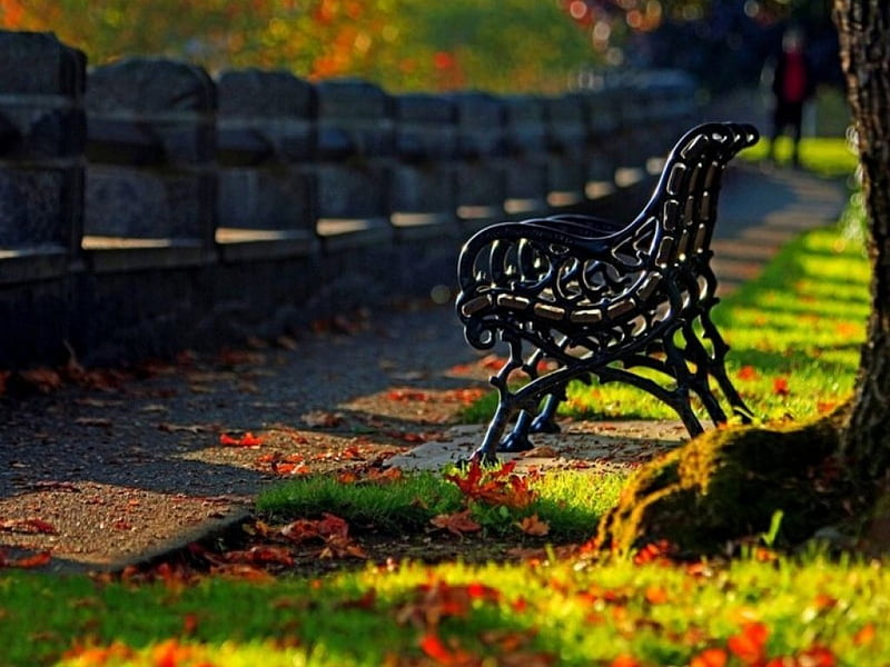 Take a seat, bench, leaves, park, grass, HD wallpaper