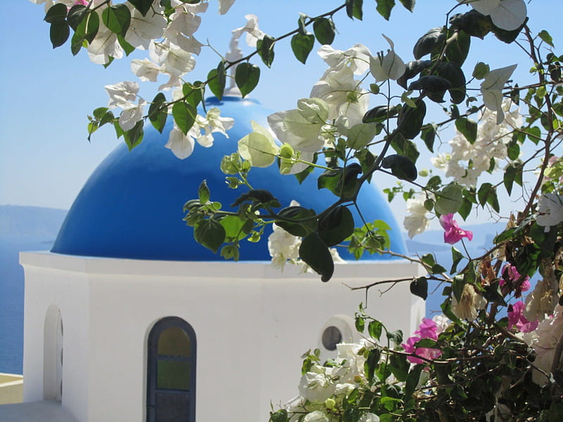 beautiful Greece, greece, santorini, summer, flowers, island, white, sea, blue, HD wallpaper