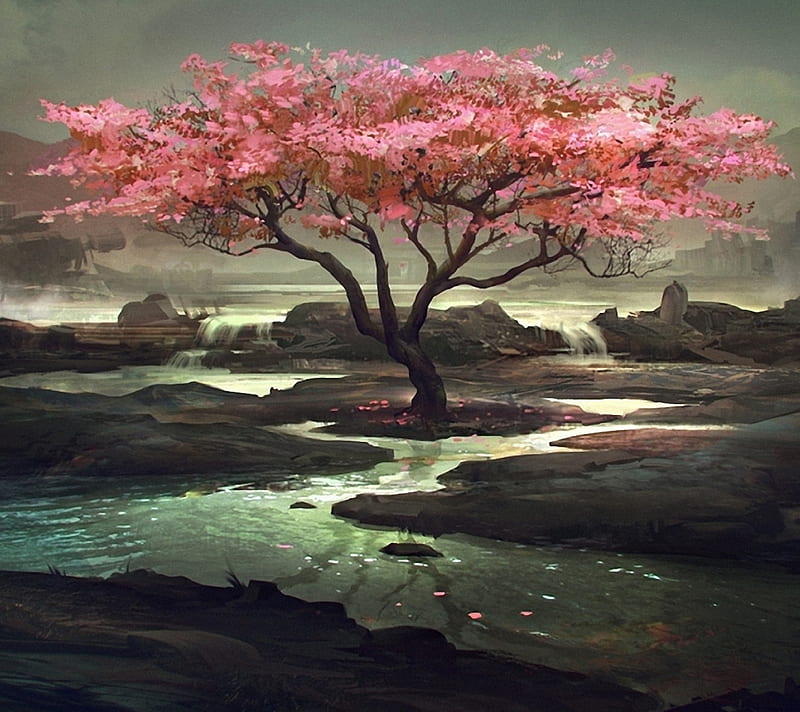 árbol oriental, hermoso, chino, japón, pétalo, rosa, Fondo de pantalla HD |  Peakpx