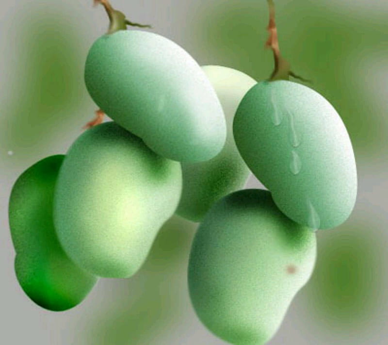 Green Mangoes, summer fruit, HD wallpaper