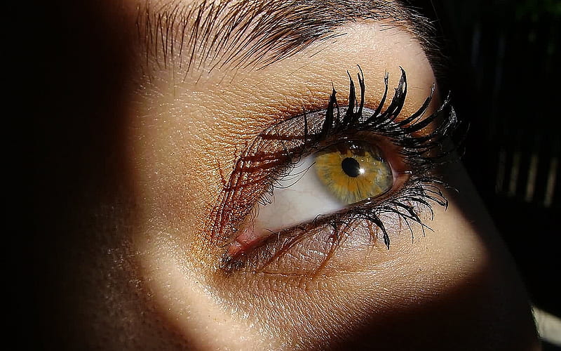 Eye, lash, pupil, brow, HD wallpaper