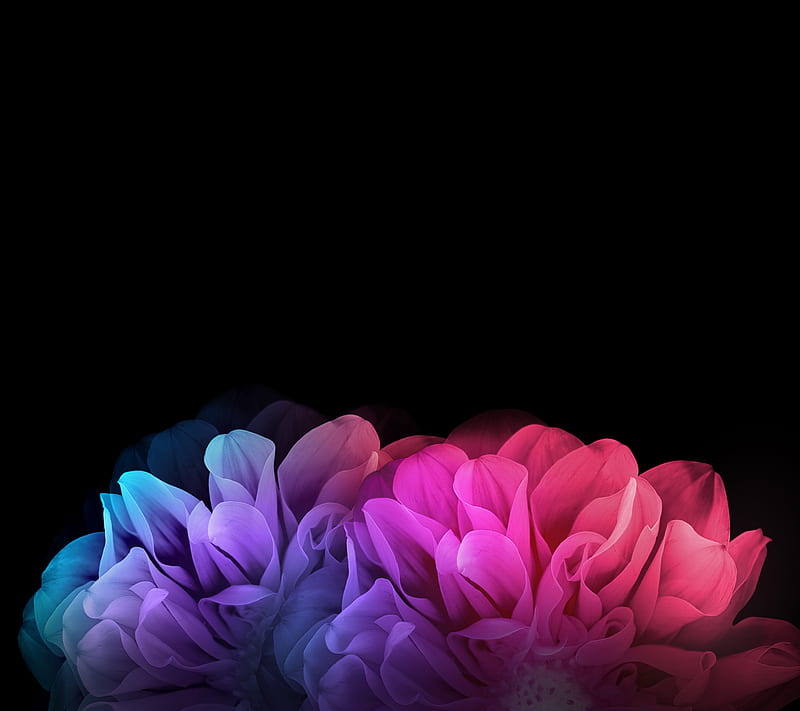 G-Flex 2 Floral, abstract, flower, lg, plant, HD wallpaper | Peakpx