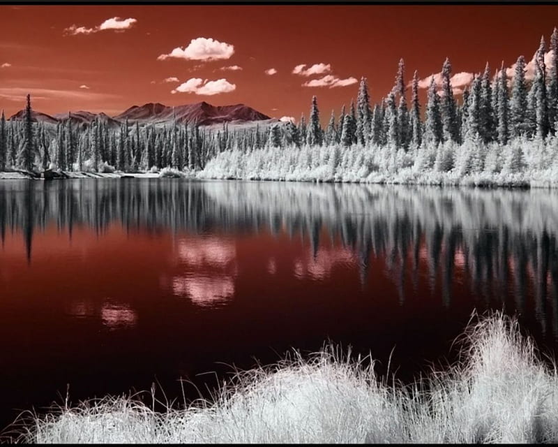 Maroon Dream, thermal, water, white, trees, clouds, sky, landscape, HD wallpaper