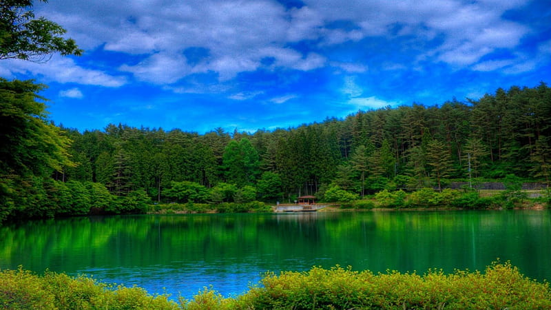 beautiful summer lake r, forest, dock, r, clouds, lake, HD wallpaper