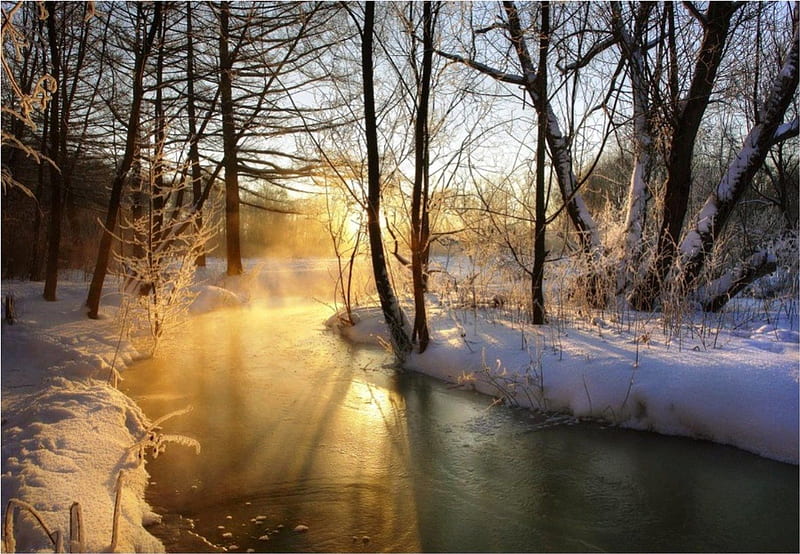 Sunny winter morning, snow, sunny, nature, river, morning, trees, winter, HD wallpaper