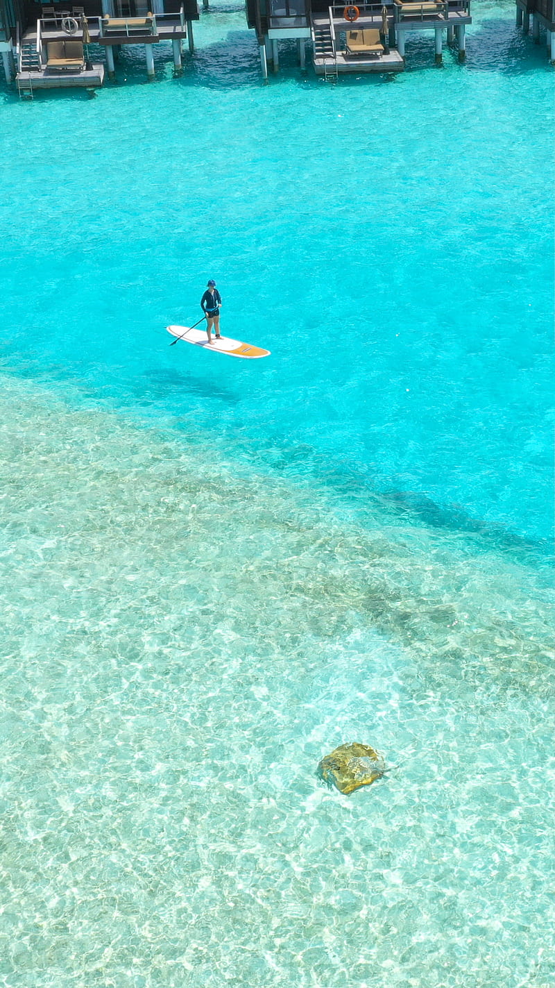 SUP Stingray , SUP, beach, blue, droneshot, lagoon, maldives, paddleboard, seefromthesky, stingray, HD phone wallpaper