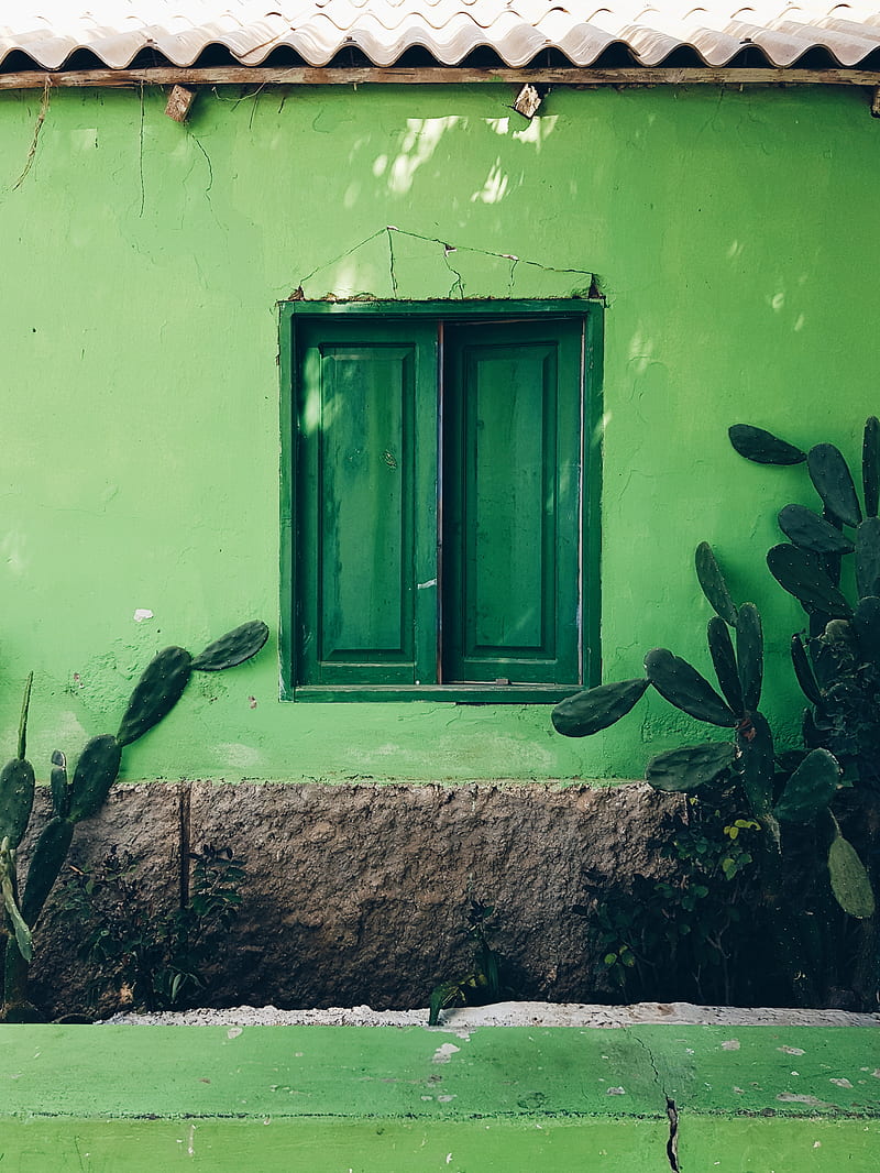 closed green wooden window, HD phone wallpaper