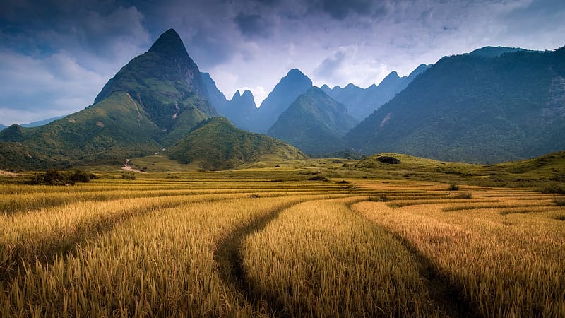 Mountain, , Field, Vietnam, Indochina, Mount Fansipan, HD wallpaper