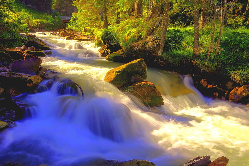 Morning glory, forest, amazing, beutiful, rock, colors, waves, water