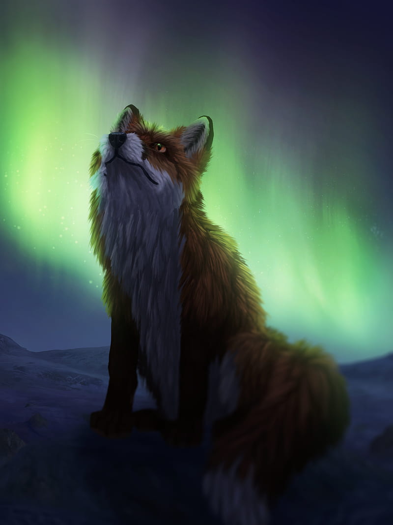 fox, northern lights, night, dark, art, HD phone wallpaper