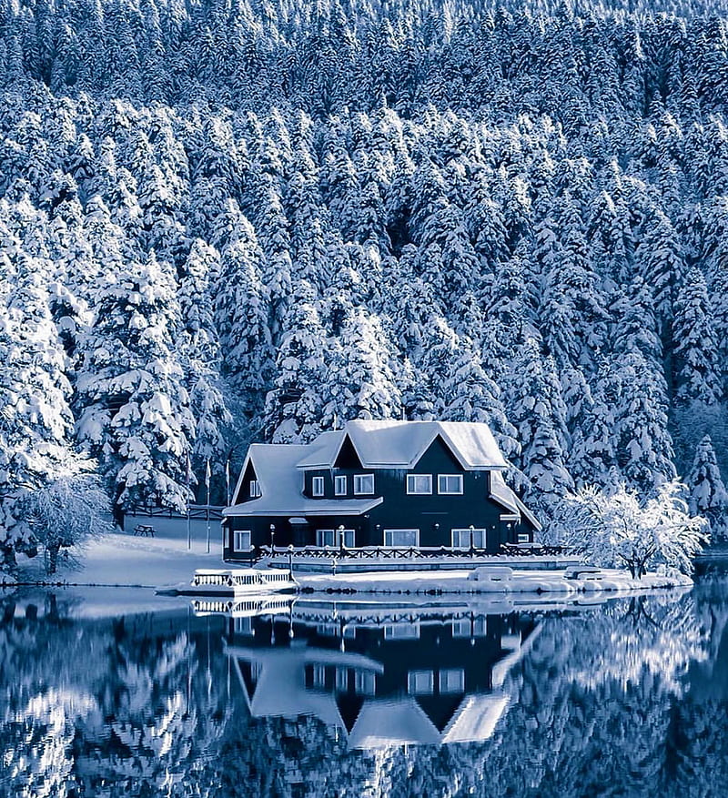 Winter wonderland, bonito, cabin, cabins, house, landscape, log, nature, snow, snowy, HD phone wallpaper