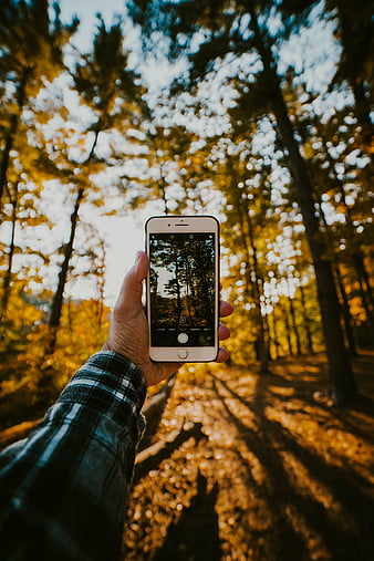 Phone, hand, sunset, nature, HD phone wallpaper | Peakpx