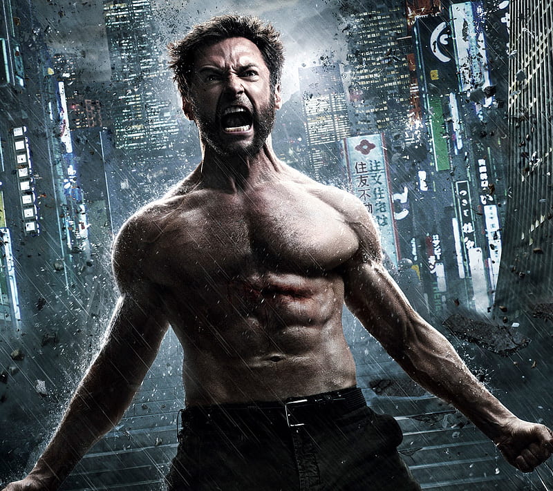 Wolverine, batman, hugh jackman, hulk, superman, x men, HD wallpaper |  Peakpx