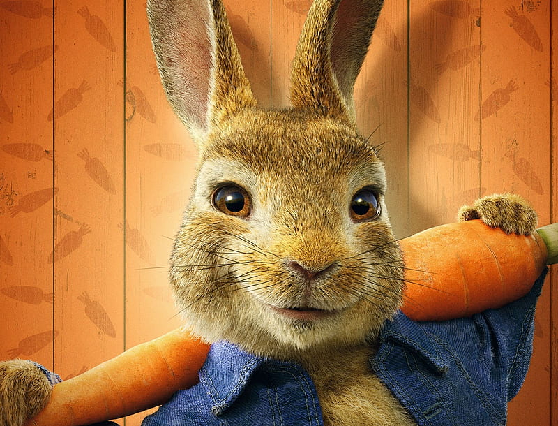 Movie, Peter Rabbit 2: The Runaway, HD wallpaper