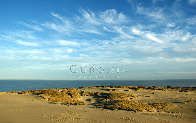 Valley of silence in Curonia, world, lithuanian, kurische, national, curonia, bonito, magic, neringa, valley, spit, sand, dunes, cultural, heritage, fabulously, list, nehrung, legend, beauty, harmony, unesco, kopos, strict, curonian, unique, park, sahara, reserve, nature, landscape, HD wallpaper