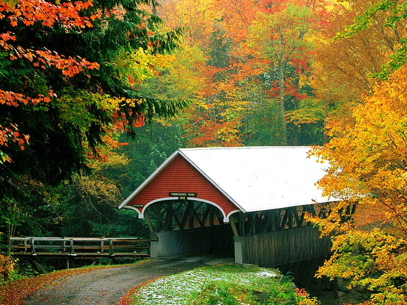 Covered bridge, fall, colorful, autumn, falling, covered, bonito, foliage, nice, calm, bridge, path, river, road, New Hampshire, forest, quiet, lovely, colors, trees, serenity, HD wallpaper
