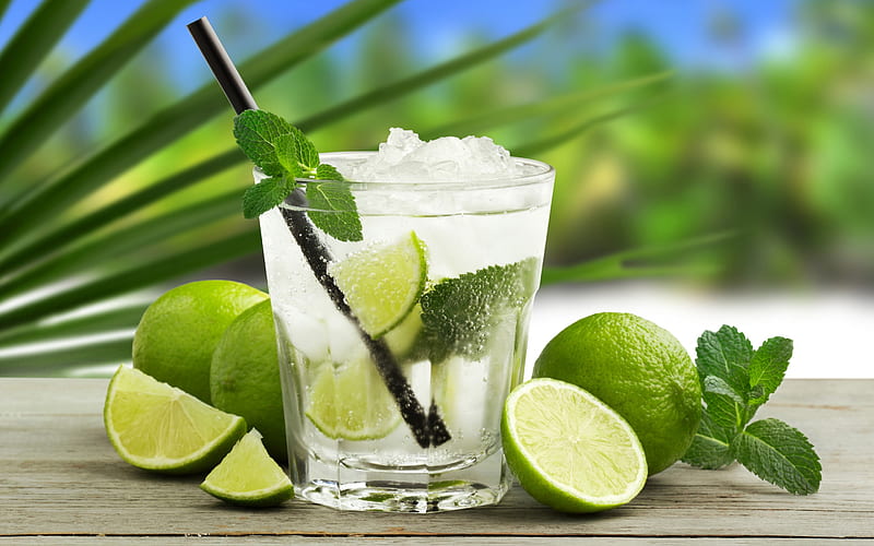mojito, soft drinks, cocktails, ice drinks, lemon and mint, glass with drink, HD wallpaper
