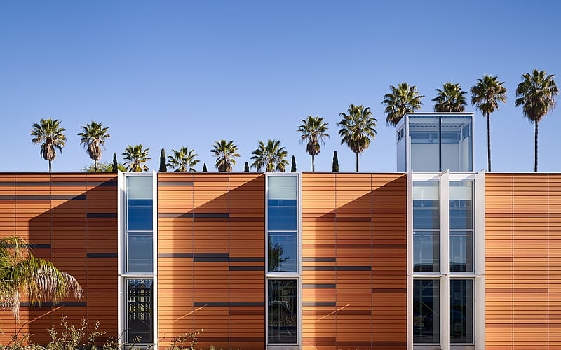 Palomar College, San Diego, California, palm trees, wooden building facade, Palomar Community College District, HD wallpaper
