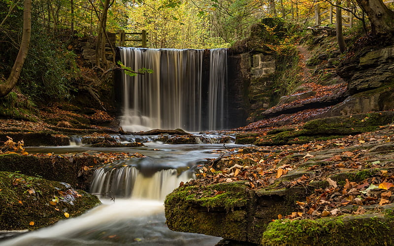 autumn, waterfall, river, autumn forest, fallen yellow leaves, Wrexham, Plas Power Woods, Wales, HD wallpaper