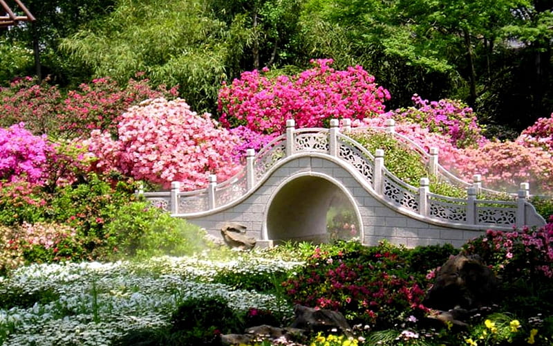 Summer Gardens, Gardens, Summer, Pink, Trees, Flowers, Fence, HD wallpaper