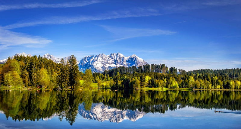 Schwarzsee Lake Reflection, forest, Austria, pristine, bonito, lake, swimming bird, mountains, green grass, blue sky, snowy peaks, HD wallpaper