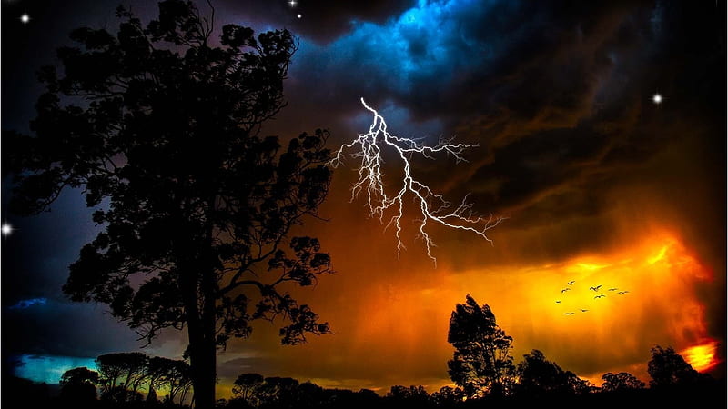 Lightning, stars, orange, outlines, birds, trees, sky, bad weather, nature, night, HD wallpaper