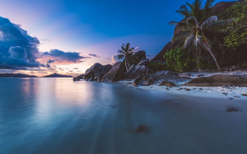 evening, tropical islands, sunset, Seychelles, palm trees, coast, HD wallpaper