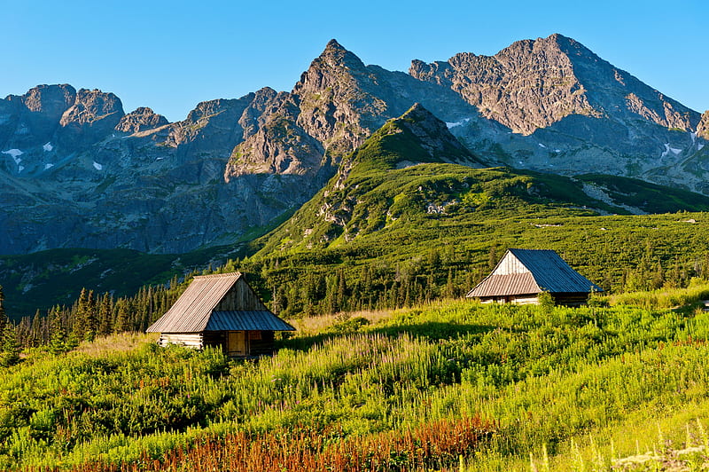 The beauty of Tatra mountains, hills, rocks, hut, grass, cottage, bonito, cabin, spring, freshness, mountain, summer, slope, landscape, Tatras, HD wallpaper