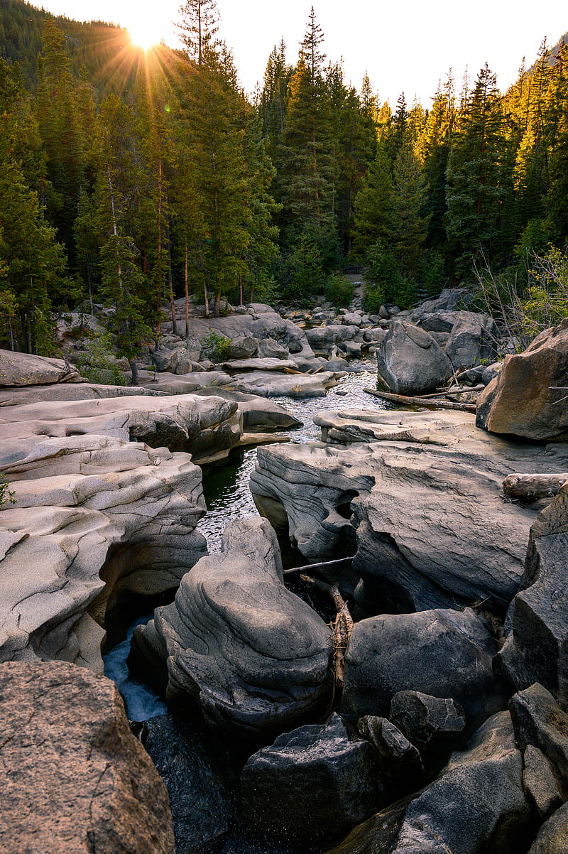 river, stones, forest, landscape, nature, HD phone wallpaper