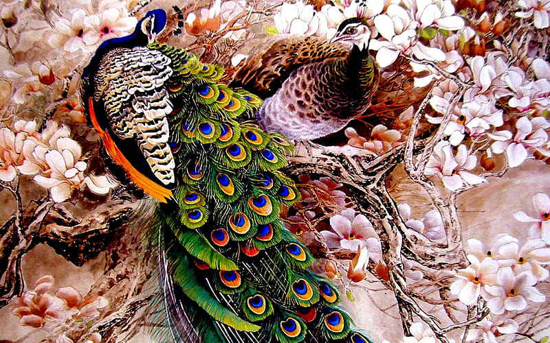 GORGEOUS COUPLE, PEACOCK, FEATHERS, PEAHEN, COLORS, PAINTED, HD wallpaper