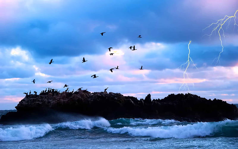 Here My Home, lightning, bird, rock, ocean, seagull, sky, blue, wave, HD wallpaper