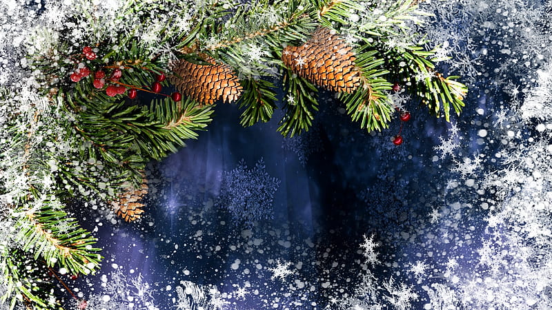 Frosting Winter, snow, boughs, snowflakes, cones, ice, fir, blue, winter, HD wallpaper