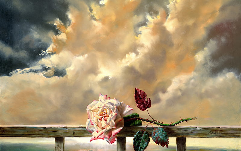 Rose, love, bonito, lonely, sky, HD wallpaper
