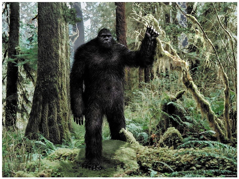 Bigfoot Yeti Gorilla Sasquatch for Android - Free App Download