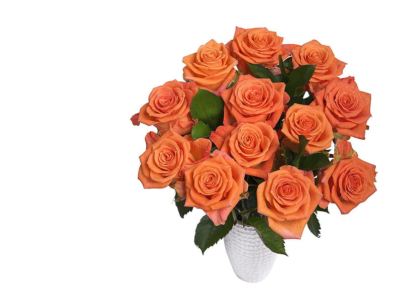 Roses, orange roses, flowers, orange, HD wallpaper | Peakpx