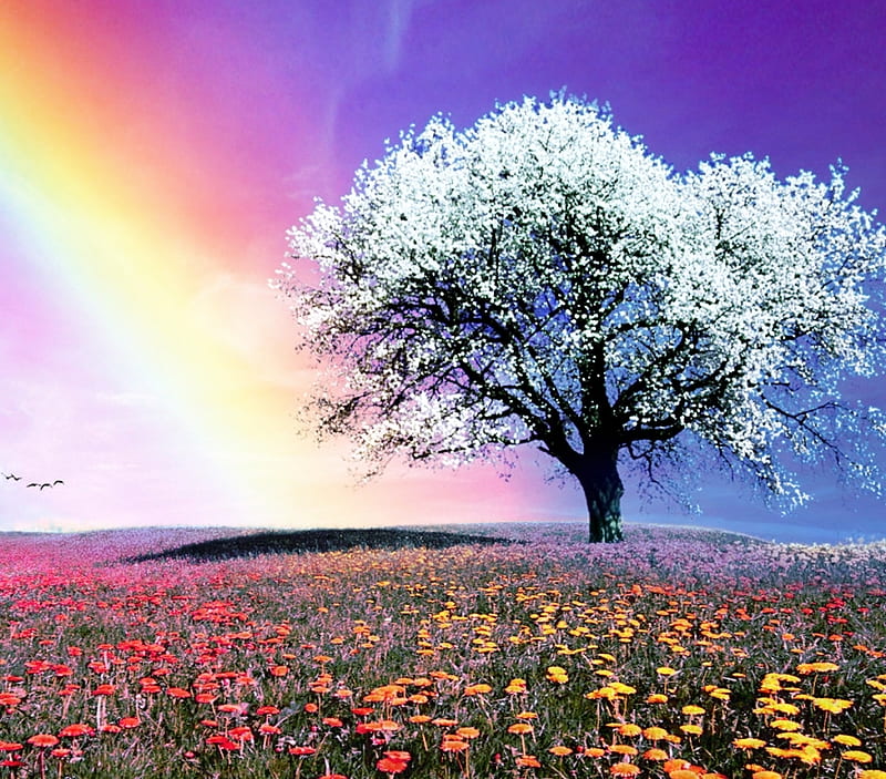 Gorgeous Nature, choline, background, nice, multicolor, bright, flowers, paisage, brightness, sunrays, purple, rain, white, red, bonito, rainbow, ipad, leaves, roots, green, painting, fields, scenery, gorgeous, blue, shadow, paisagem, day, nature, branches, pc, scene, orange, yellow, clouds, cenario, lightness, scenario, beauty, paysage, cena, black, birds, trees, sky, cool, awesome, hop, fullscreen, landsca, colorful, gray, trunks, graphy, hill, pink, light, amazing, multi-coloured, colors, leaf, plants, colours, natural, HD wallpaper