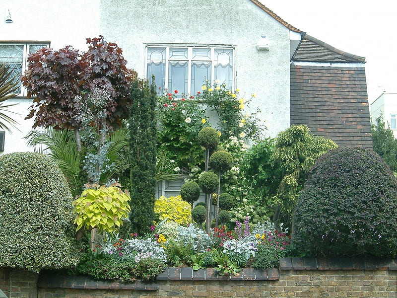 Front yard, yards, shrubs, plants, houses, HD wallpaper