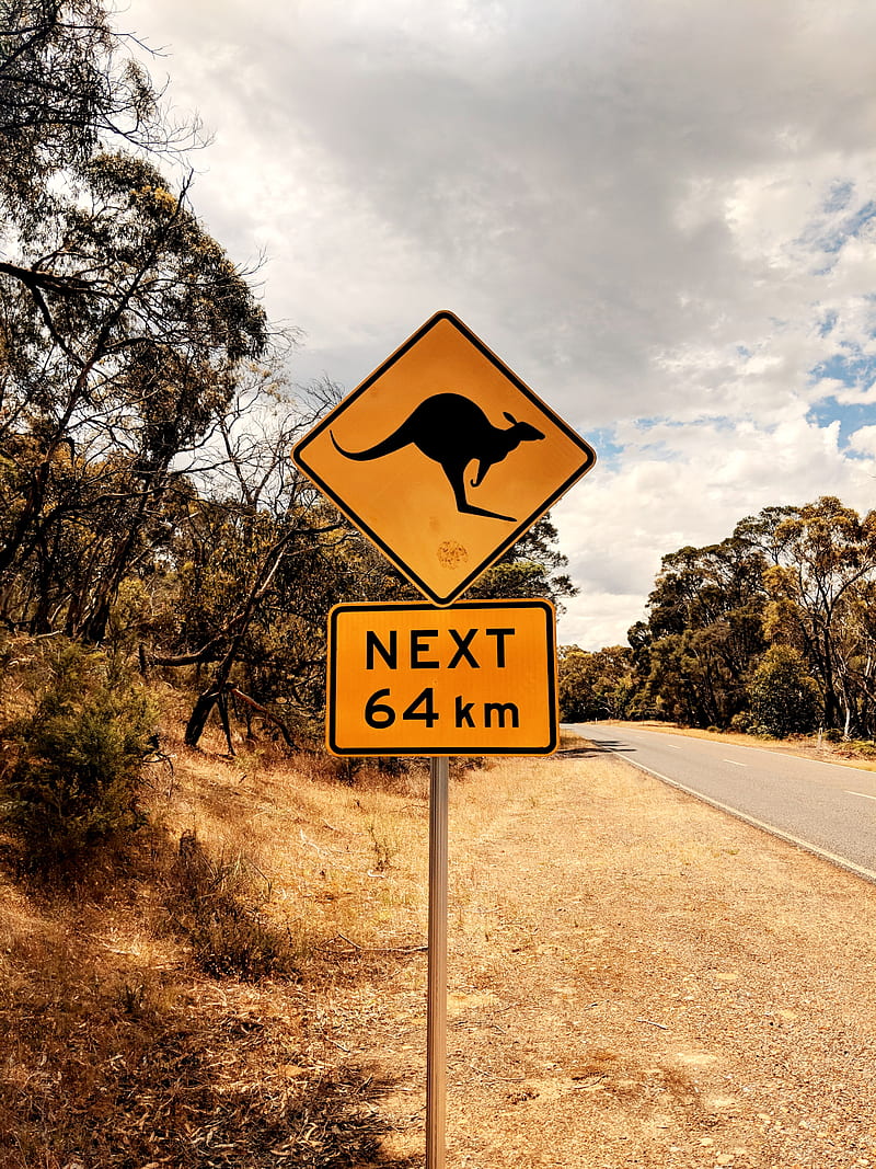 kangaroo, sign, inscription, road, HD phone wallpaper