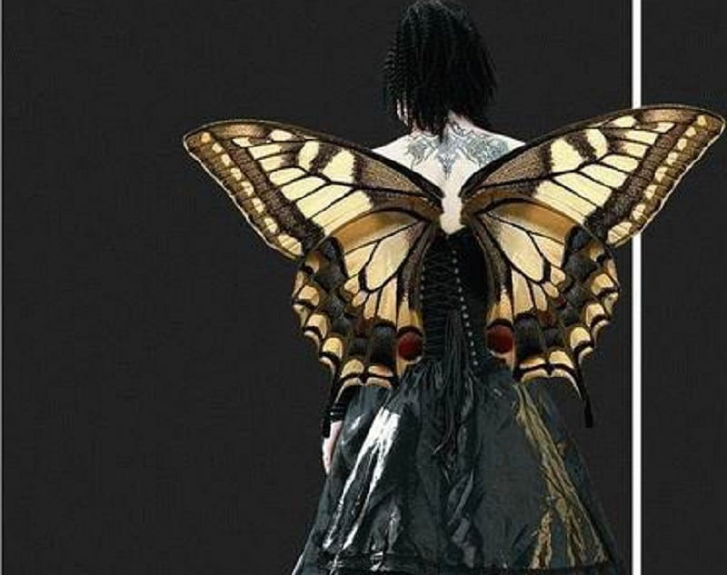 Metamorphosis, fantasy, wings, butterfly, girl, HD wallpaper