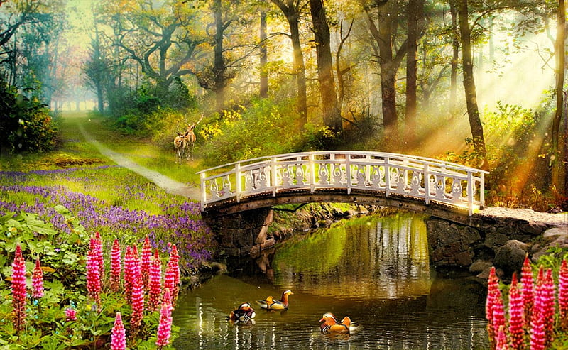 My Little Paradise, deer, bridge, painting, ducks, flowers, river, trees, artwork, HD wallpaper