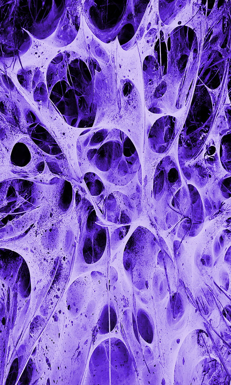 Neurons, complex, HD phone wallpaper