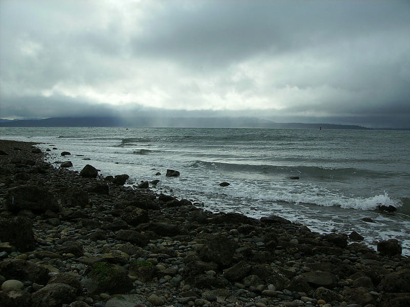 Rocky beach coastline, beach, gray, pacific northwest, rocky, dull, HD wallpaper