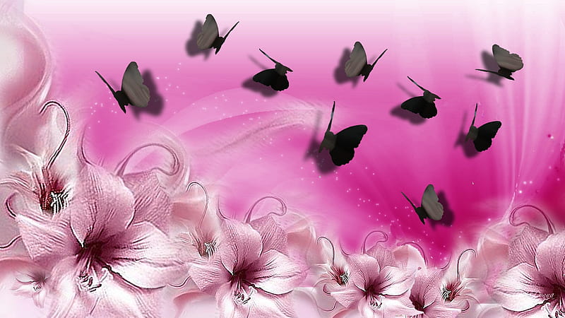 Pink Lilies and Butterflies, stars, bright, summer, shadows, lilies, spring, butterflies, pink, HD wallpaper