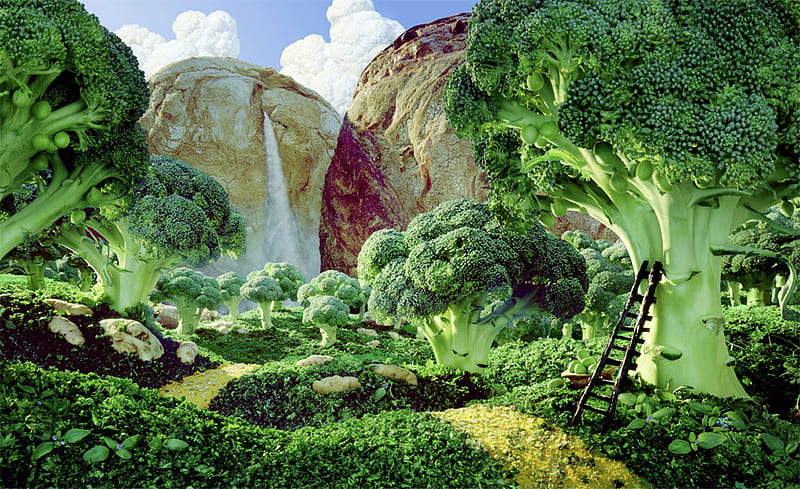 Vegetable Garden, broccoli, fantasy, garden, ladder, vegetables, abstract, HD wallpaper