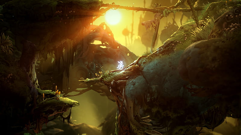 Video Game, Ori and the Will of the Wisps, HD wallpaper