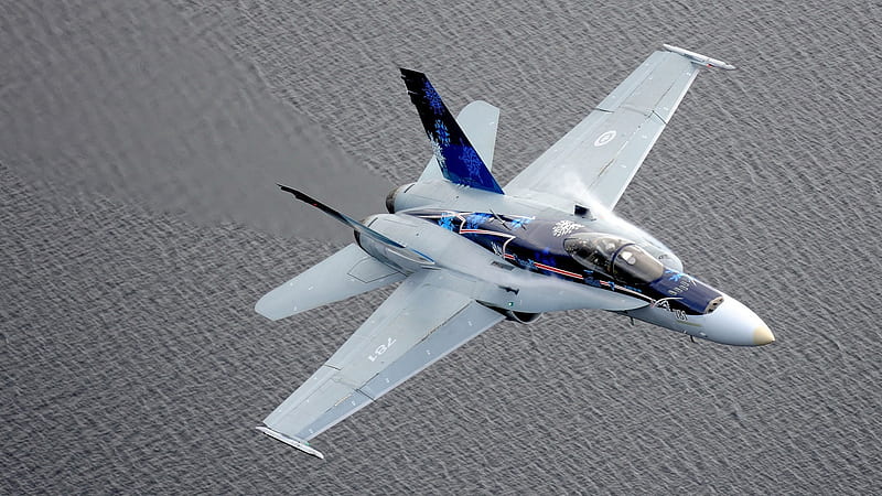 F-18 Hornet, US Navy, US Air Force, F 18 Hornet, F 18, Jets, HD wallpaper